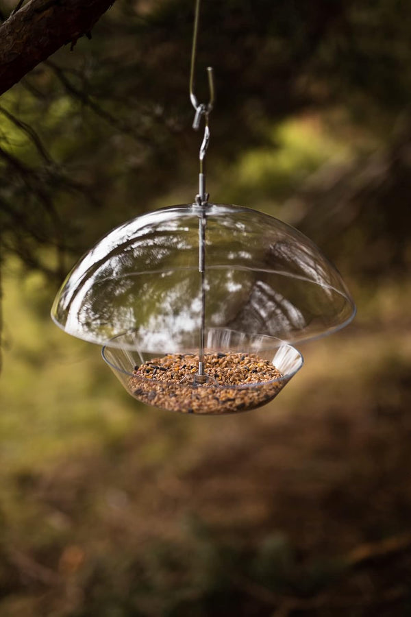 A clear dome-shaped bird feeder hanging from a metal hook outdoors, filled with brown seeds, with a blurred forest background.