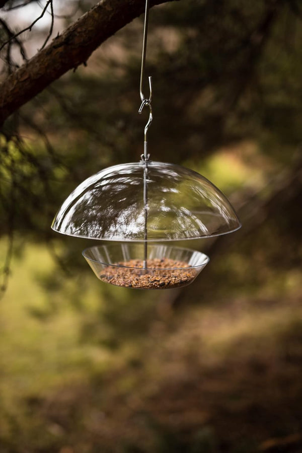 A clear glass bird feeder hanging from a metal hook in a tree branch, filled with birdseed, set against a blurred outdoor forest background.