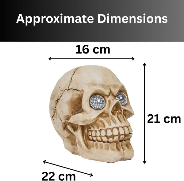 A skull-shaped decorative object with overlaid dimension arrows and labels reading 16 cm, 21 cm, and 22 cm under the heading 'Approximate Dimensions' on a white background.