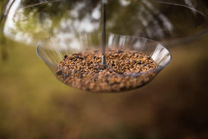 A clear glass bird feeder bowl filled with brown birdseed, suspended by a metal rod against a blurred outdoor background.
