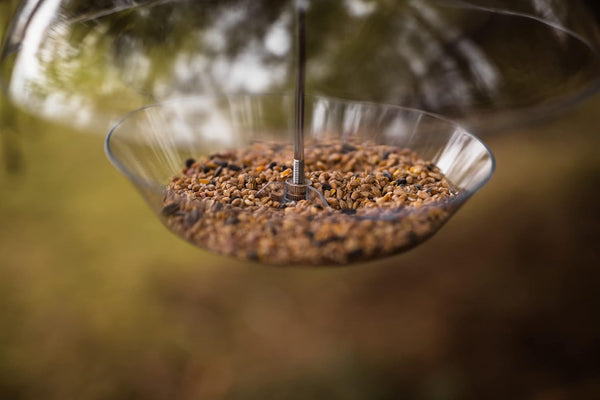 A clear glass bird feeder bowl filled with brown birdseed, suspended by a metal rod against a blurred outdoor background.