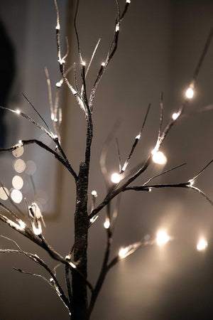 Decorative tree branch with lights against a dark background