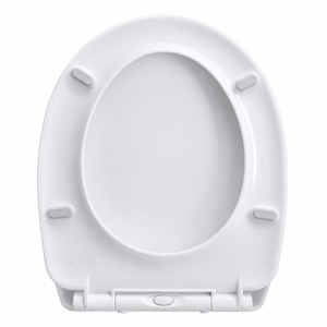 White toilet seat on a white background