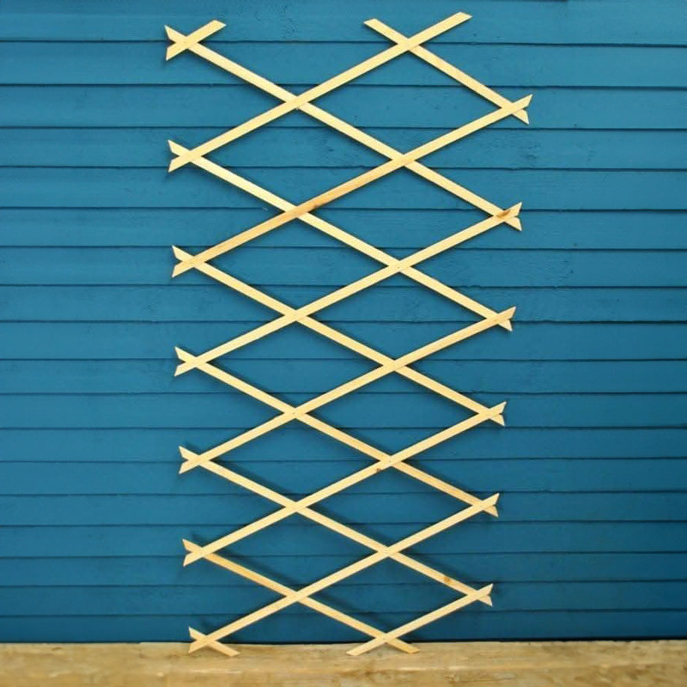 6ft x 3ft expanding wooden garden trellis lattice panel