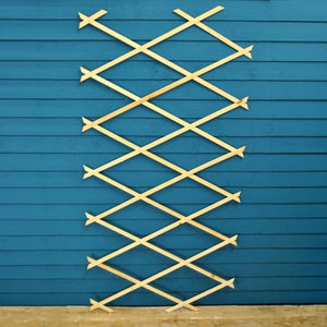 6ft x 3ft expanding wooden garden trellis lattice panel