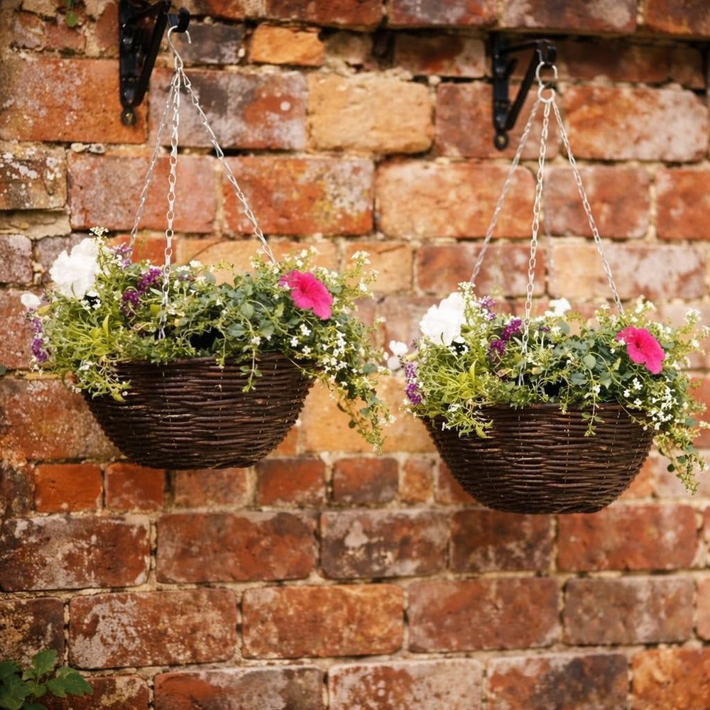 Two hanging flower baskets with flowers against a brick wall.