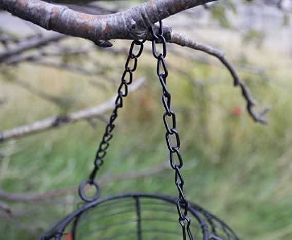 81GpF3kvcrL._AC_SX569_