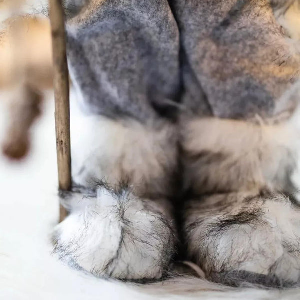 Close-up of a dog's paw with a blurred background
