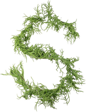 Moss letter 'S' on a white background