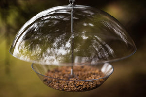 A clear plastic dome bird feeder with a bowl of brown seed underneath, suspended against a blurred green and brown outdoor background.