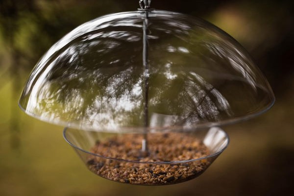 A clear plastic dome bird feeder with a bowl of brown seed underneath, suspended against a blurred green and brown outdoor background.