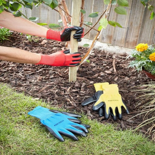 A pair of hands wearing red gardening gloves is shown holding a young plant in a garden setting, with two additional gloves lying on the grass. One glove is blue and the other is yellow.
