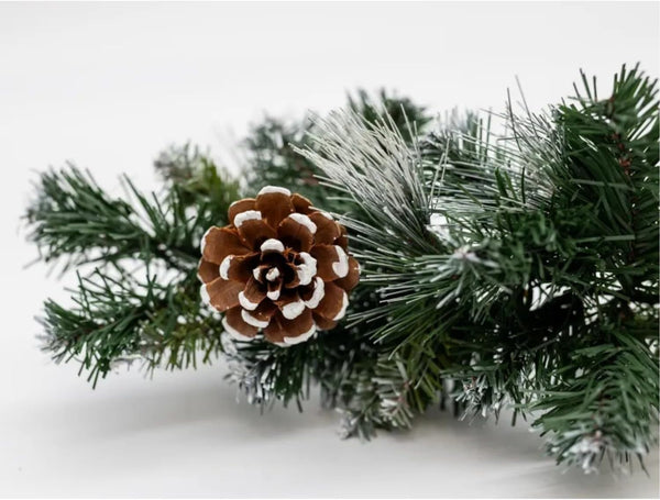 Decorative pine branch with a pine cone on a white background