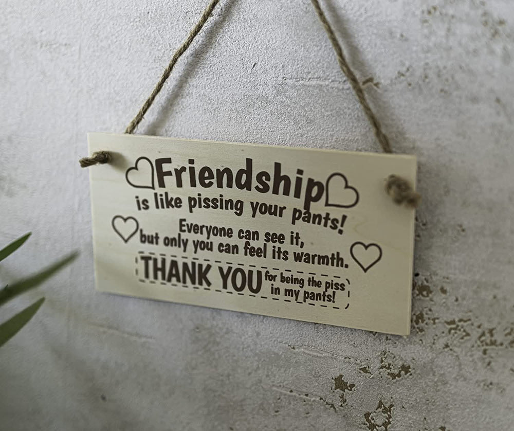 Humorous Wooden Friendship Wall Plaque