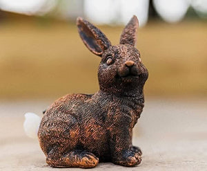 71mkU98-jcL._AC_SX679_