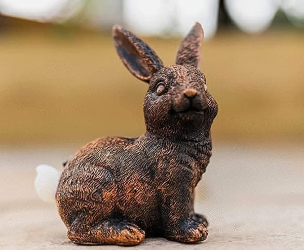 71mkU98-jcL._AC_SX679_