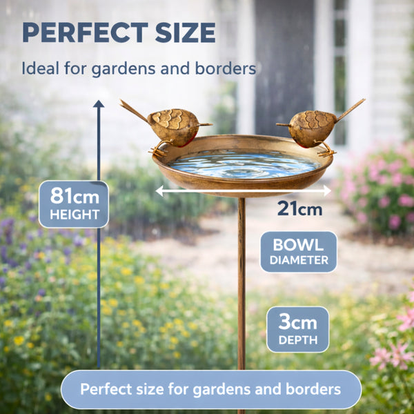 Robin Bird Bath & Feeder Stake for Garden Birds, Outdoor Wildlife & Patio Decor