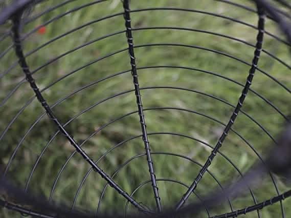 81GpF3kvcrL._AC_SX569_