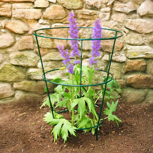 Purple flowers in a green metal plant stand against a stone wall.
