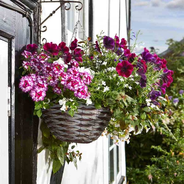  Rattan Hanging Basket 