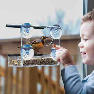 Window Feeder + 1kg Bag of Bird Food (Seed)