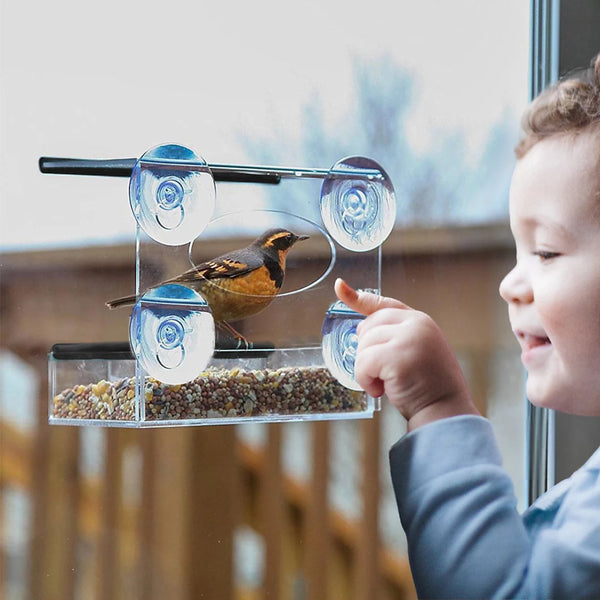 Window Feeder + 1kg Bag of Bird Food (Seed)