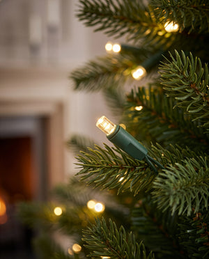 Close-up of green Christmas tree branches with warm white string lights glowing in a cozy indoor setting.