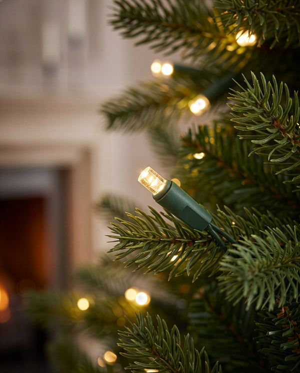 Close-up of green Christmas tree branches with warm white string lights glowing in a cozy indoor setting.