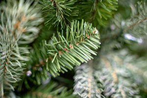 Close-up of artificial pine tree branches with green needles and small brown branch nodes, photographed in soft focus with one central sharp sprig.