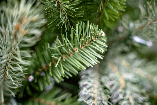 Close-up of artificial pine tree branches with green needles and small brown branch nodes, photographed in soft focus with one central sharp sprig.