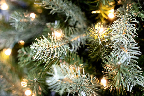 Close-up of frosted artificial pine tree branches with warm white string lights glowing in the background.