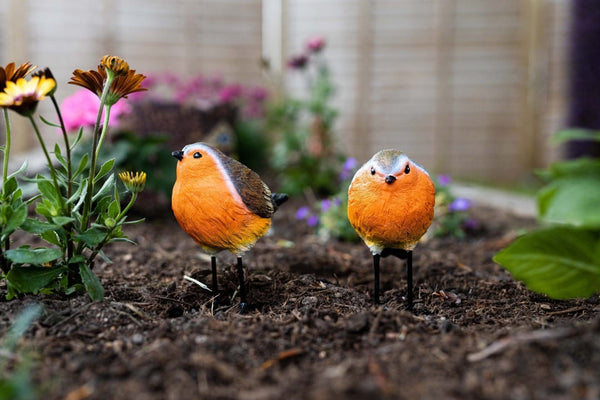 British robin resin garden figures