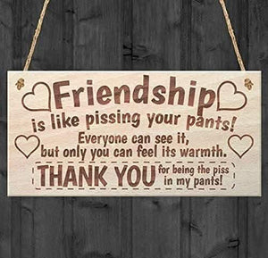 Funny best friend wooden sign with rustic twine hanger