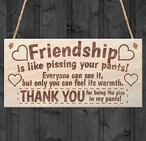 Funny best friend wooden sign with rustic twine hanger