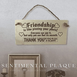 Funny friendship gift sign for birthdays and Christmas