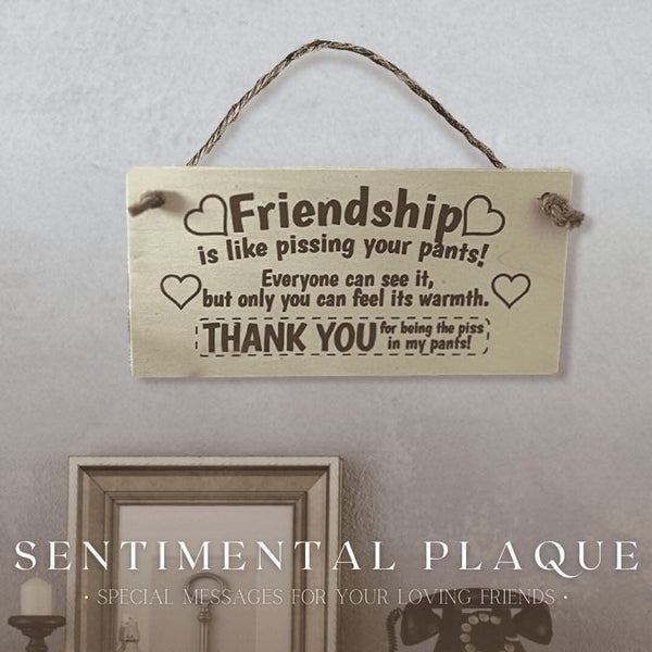 Funny friendship gift sign for birthdays and Christmas