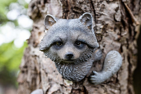 Novelty Resin Tree Hugging Hanging Resin Peeking Animal - Racoon