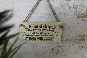 Humorous wooden plaque gift for best friend