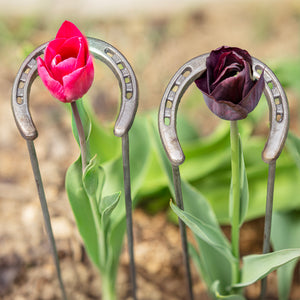 Two decorative metal horseshoe garden stakes holding tulip stems, one bright pink tulip and one dark purple tulip, set in a garden with blurred green foliage and soil in the background.
