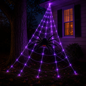 Purple LED web string lights arranged in a large spiderweb structure on a house exterior at night, with a black spider decoration in the center and warm orange window light in the background.