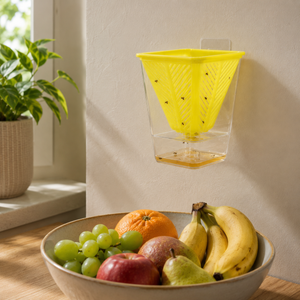 Fruit Fly Trap Set 4 Pack with Sticky Traps