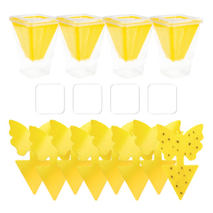 Fruit Fly Trap Set 4 Pack with Sticky Traps