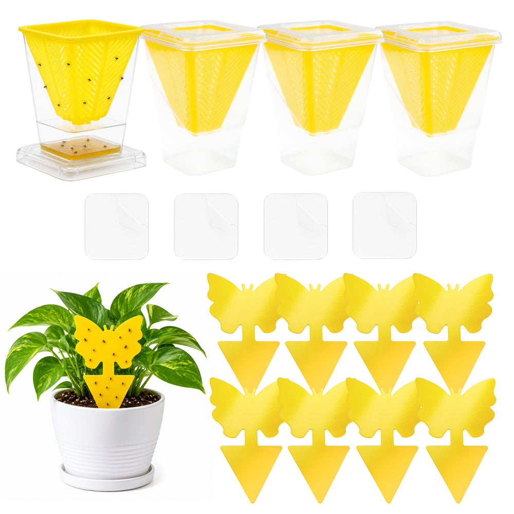 Fruit Fly Trap Set 4 Pack with Sticky Traps