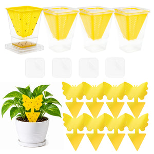 Fruit Fly Trap Set 4 Pack with Sticky Traps