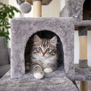 206cm Extra Large Floor to Ceiling Cat Tree Tower