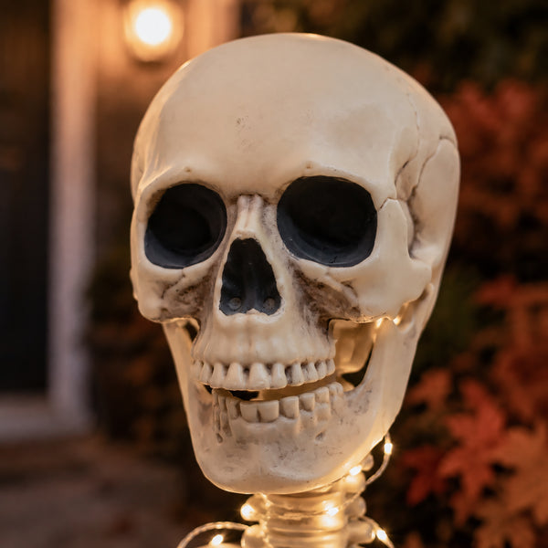 A realistic human skull Halloween decoration with dark hollow eyes and nose cavity, shown lit from within against a softly blurred outdoor background with warm lights and foliage.