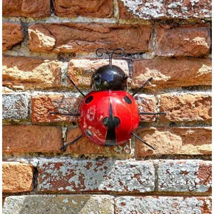 Novelty-Hand-Painted-Steel-Garden-Wall-Decor-Art-Large-Ladybird