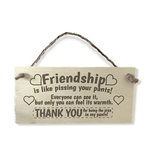Novelty friendship wall plaque displayed in living room
