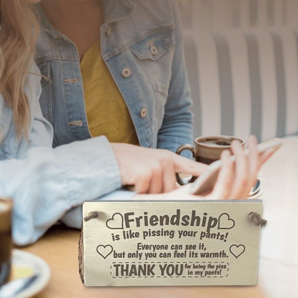 Humorous Wooden Friendship Wall Plaque