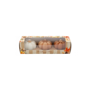Three small decorative pumpkins in white, tan, and brown arranged inside a clear-fronted rectangular box with fall-themed printed borders.